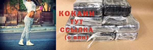 сатива Гусев