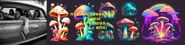 сатива Гусев