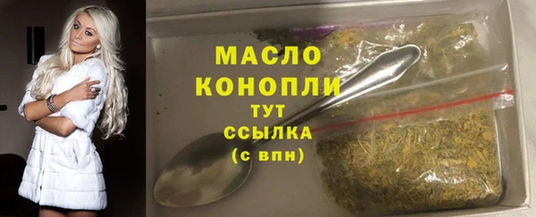 сатива Гусев