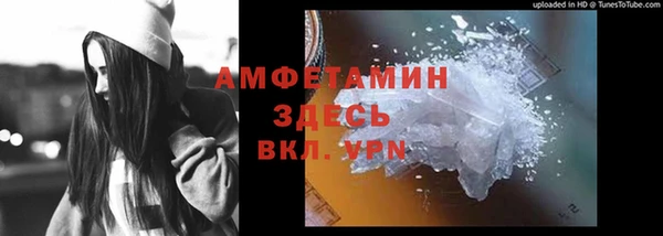 сатива Гусев