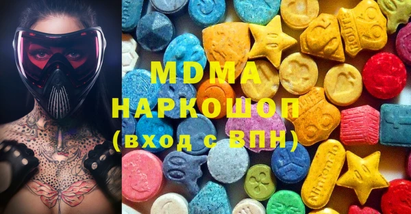 индика Вяземский