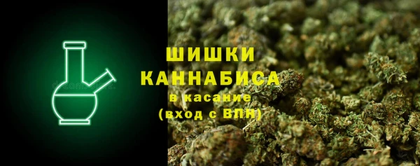 индика Вяземский
