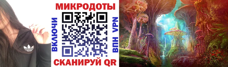 Купить где  Короча  Галлюциногенные грибы мухоморы 